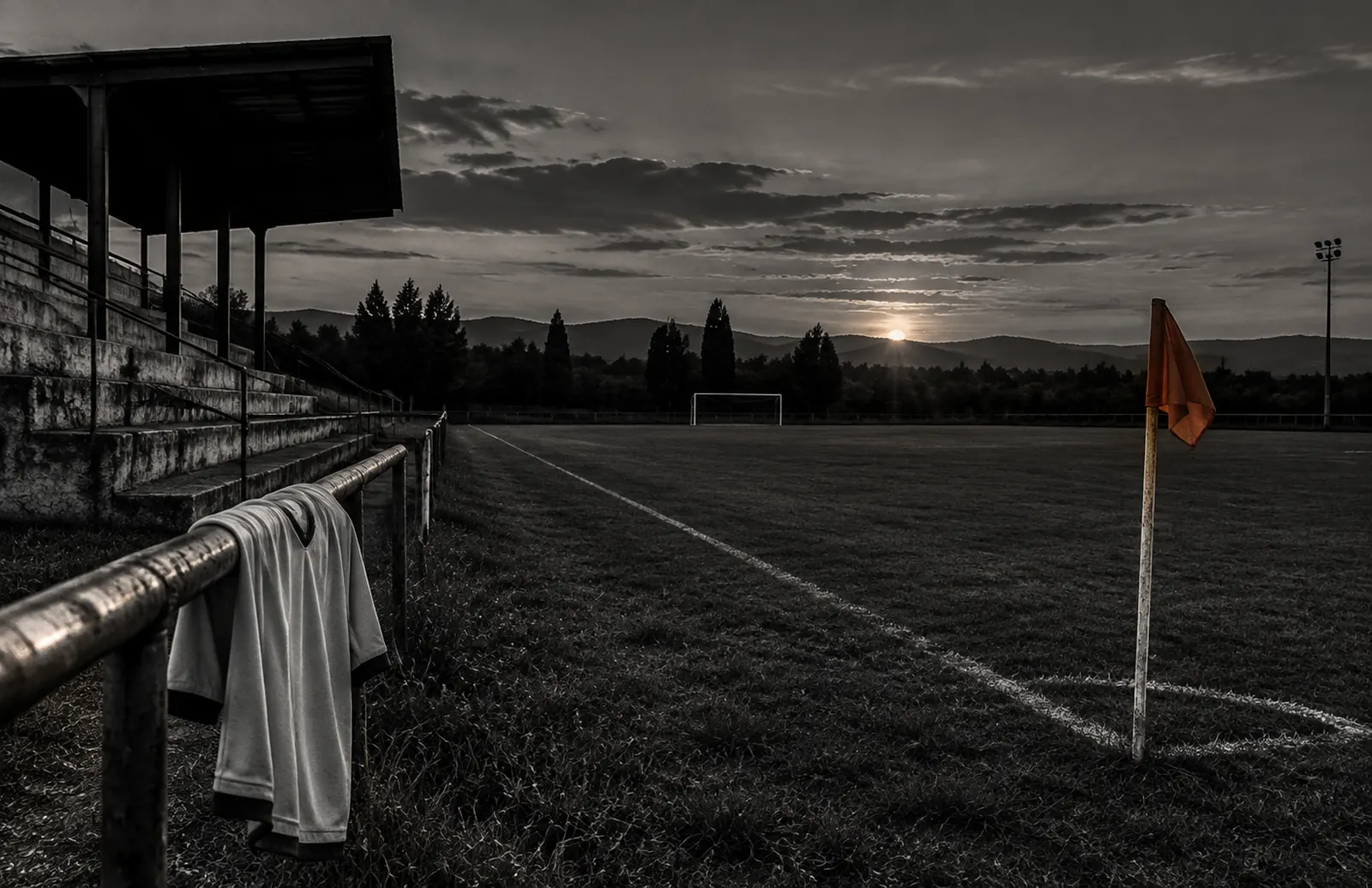 Sponsorship insight, duotone